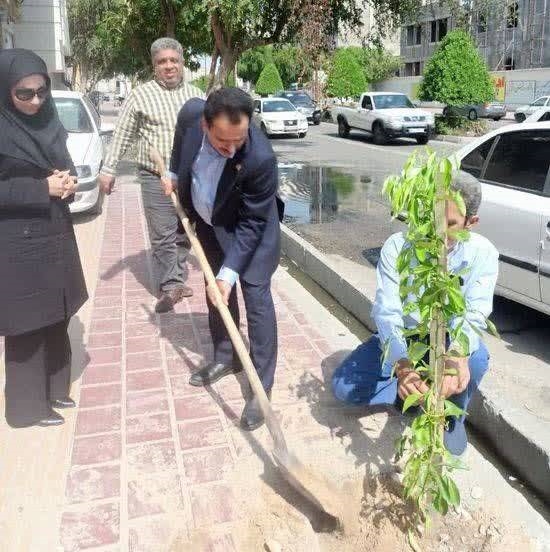 کاشت نهال  