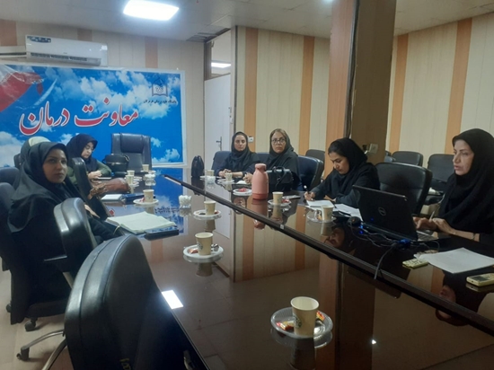  کارگروه آموزش و فرهنگ سازی کمیته دانشگاهی ترویج زایمان طبیعی 
